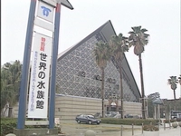 須磨海浜水族園画像