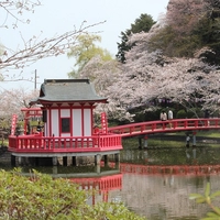 茂原公園画像
