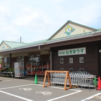 旬の里ねぎぼうず画像