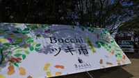 Bocchiツキ市画像