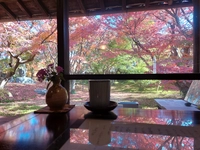 Chiyo Uno's birthplace画像