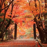 Oharano Shrine画像