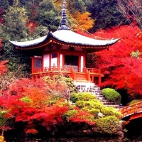 Daigo-ji Temple画像