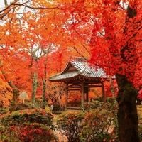 Shōji-ji Temple画像