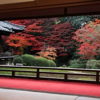 Juushinin画像