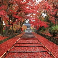 Bishamondo Monzeki画像