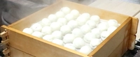寺本饅頭本舗画像