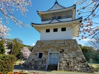 大草城画像
