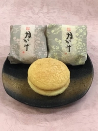 森田屋伸嘉画像