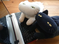 CAT HAND WORK画像