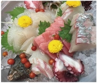 お食事 一品料理 まさ画像