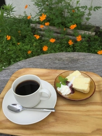 Koti café画像