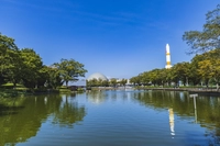 中央公園画像