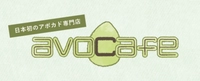 avocafe沖縄店1画像