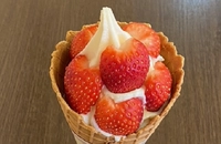 芳川屋画像