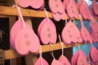 桃太郎神社画像