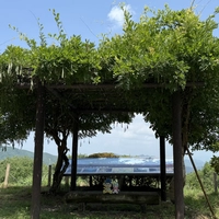 Kazekoshi Pass (observation deck)画像