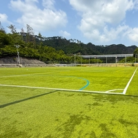 Soccer field画像