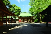 川越氷川神社画像