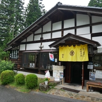 樹梨画像