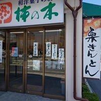 柿の木画像
