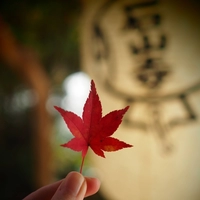Ishiyama-dera Temple画像