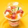 照寿し画像
