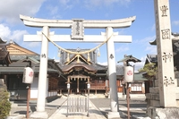 近江 豊国神社画像