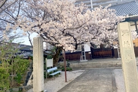 興福山 徳勝寺画像