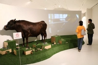 但馬牛博物館画像