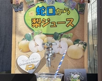 ワンハートグリーンキッチンカー画像