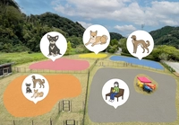 マメノキドッグパーク画像