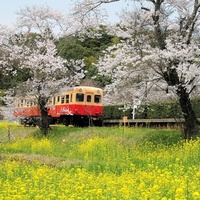 小湊鐵道　飯給駅画像
