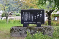 Yoshika Park画像