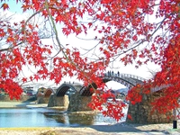 Kintaikyo Bridge画像