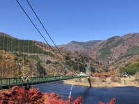 もみじ谷大吊橋（森林の駅）画像