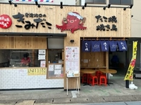 君津北口の君だこ画像