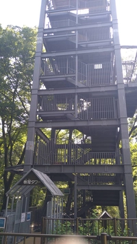 樹冠タワー画像