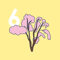 Miharu Cherry Blossoms画像