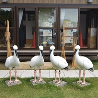 小山市渡良瀬遊水地コウノトリ交流館画像