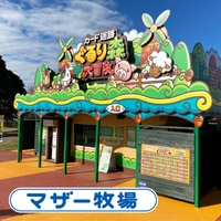 マザー牧場画像
