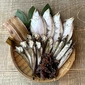Dried fish set (BEST Selection Set) [10 winners selected by lottery / 5 stamps]画像