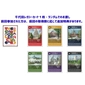 1 Chiyoda Legacy card (randomly given, while stocks last)画像