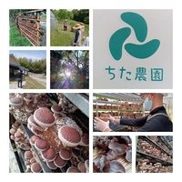 社会福祉法人あゆみの会　知多農園画像