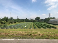 鈴木農園画像