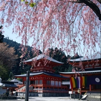 比叡山延暦寺画像