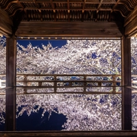 三井寺（園城寺）画像