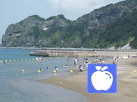 小泊マリンパーク・海水浴場画像