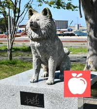 海の駅わんど・わさお記念像画像