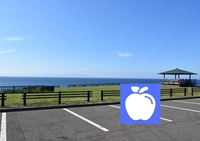 鋳釜崎キャンプ場画像